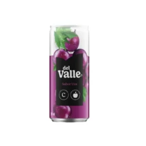 suco Delvale 210ml